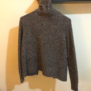 Madewell Small Wool Turtleneck Sweater
